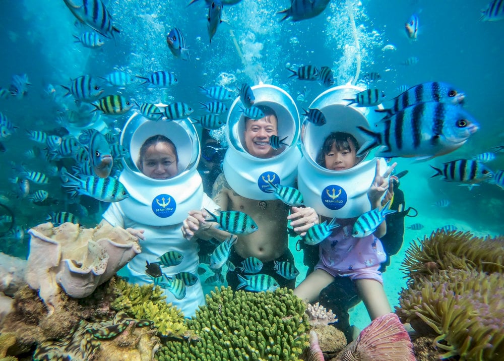 Walking beneath the waves and exploring Phu Quoc’s seabed without needing to swim